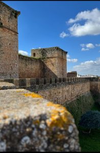 WhatsApp Image 2025-08-22 at 14.52.46 (2)