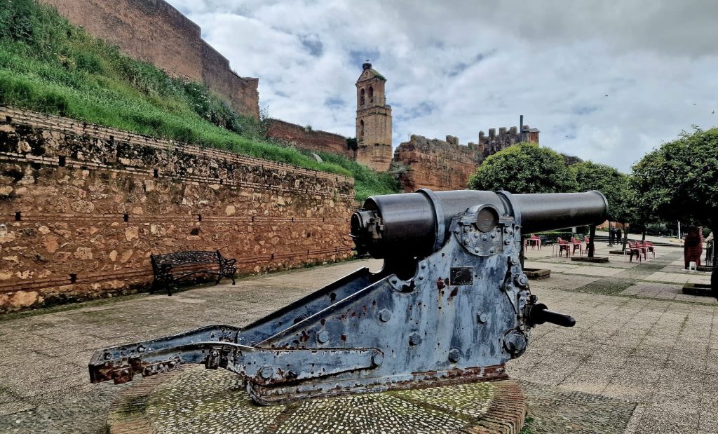 WhatsApp Image 2025 08 22 at 14.52.51 1 1