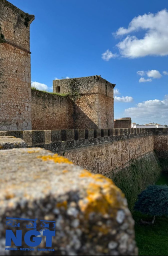 WhatsApp Image 2025 08 22 at 14.52.51