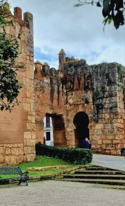 WhatsApp Image 2025-08-22 at 14.52.54 (2)